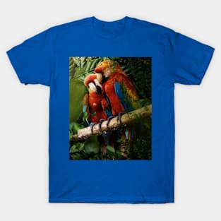 Beautiful Parrots T-Shirt